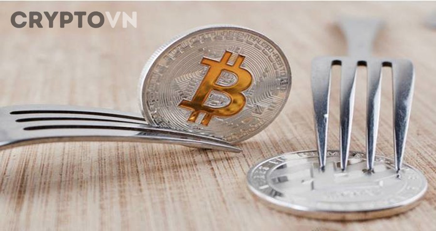 Minh họa cơ chế Hard Fork trong blockchain