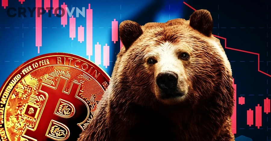 Sai lầm cần tránh khi đầu tư trong Bear Market Crypto