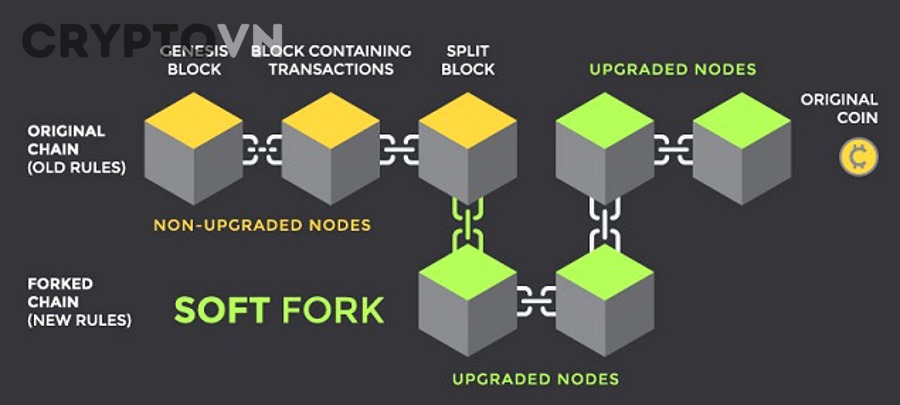 So sánh giá trị thị trường của các Bitcoin forks qua thời gian