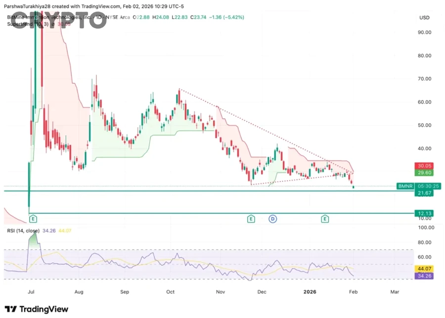 So Sánh Sự Biến Động Giá Giữa Ethereum Và Các Altcoin Khác