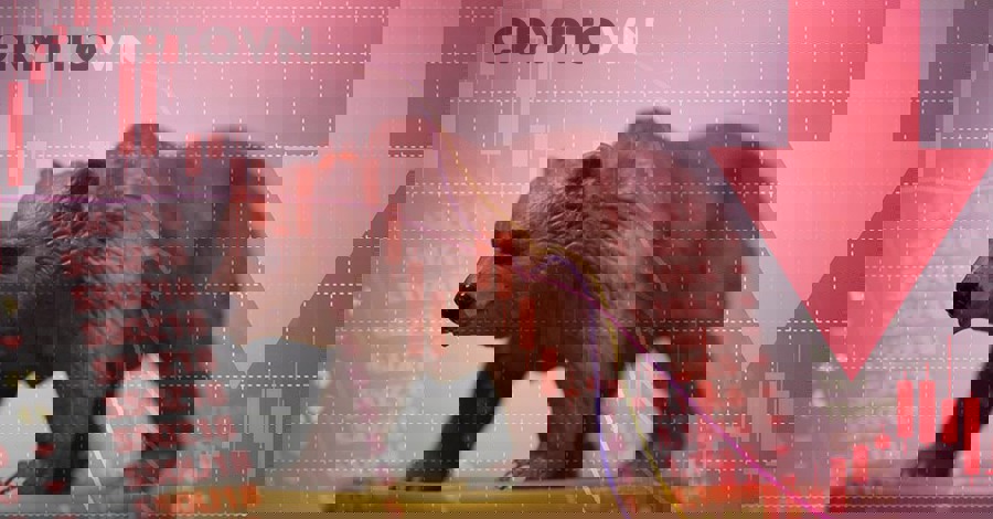 Dấu hiệu nhận biết Bear Market Crypto sắp diễn ra?