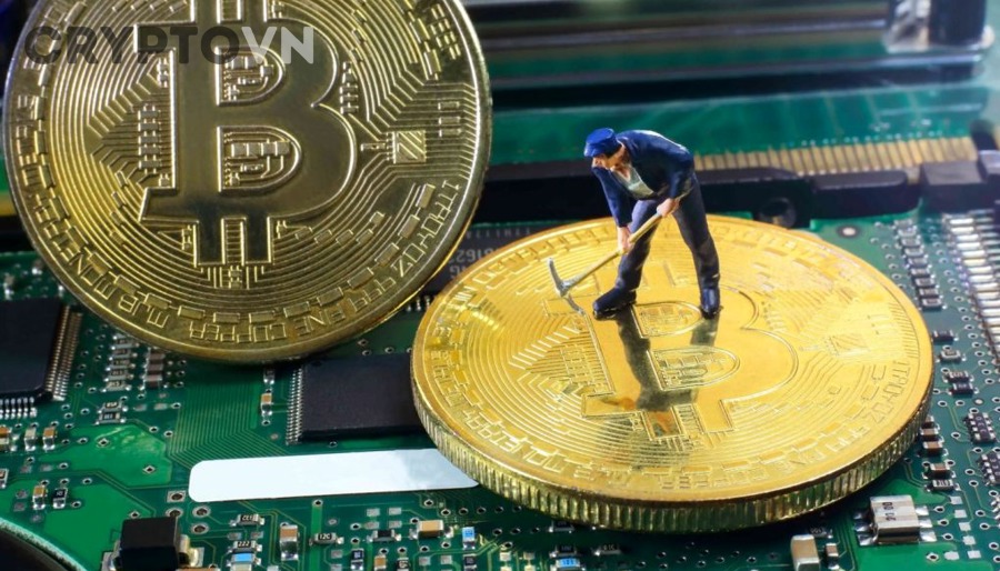 Đào Coin Có Lợi Nhuận Không?