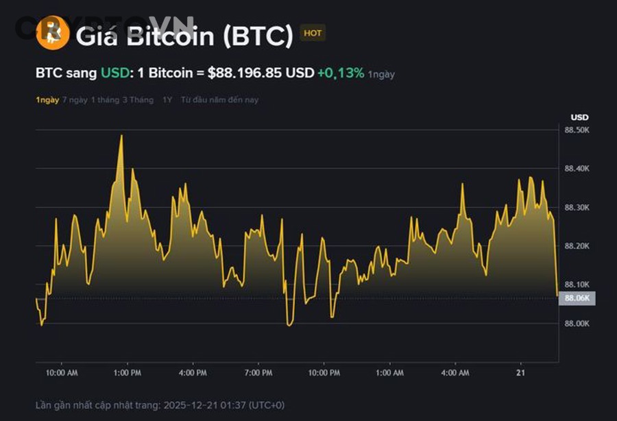 Chiến Lược Giao Dịch Bitcoin Hôm Nay Cho Trader Việt