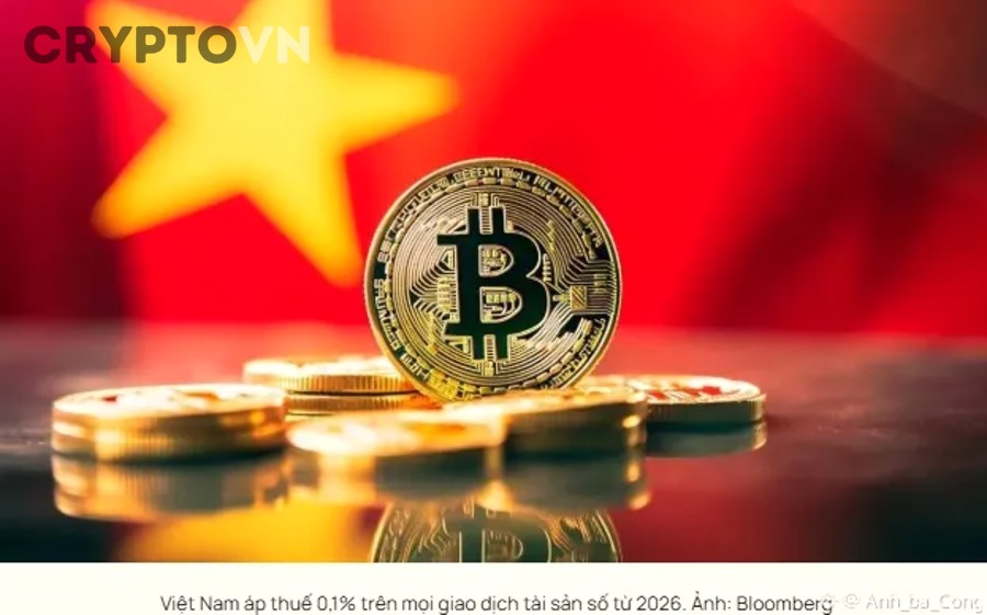 Ai là đối tượng phải nộp thuế crypto tại Việt Nam?