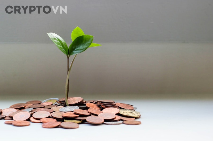 Các nhóm nhà đầu tư và chiến lược phân bổ tài sản phù hợp