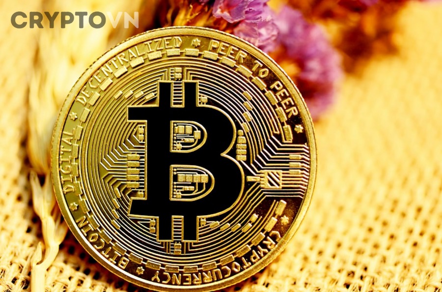 Self-custody crypto wallet concept with security