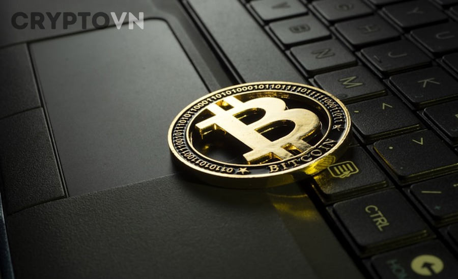 Nhà đầu tư cân nhắc quyết định về Bitcoin với biểu đồ tăng trưởng và rủi ro