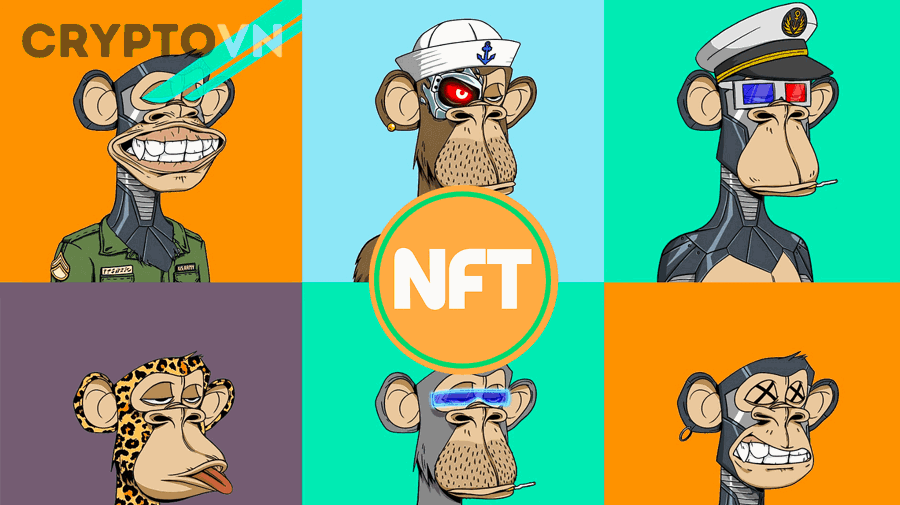 Người mới nên kiểm tra collection NFT theo quy trình từng bước nào?