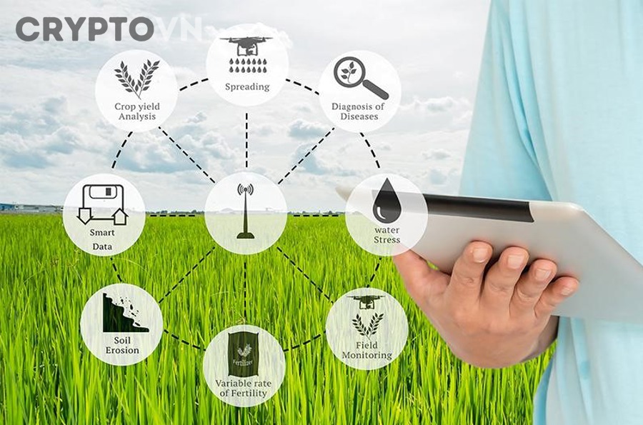 Những Thách Thức Nào Cần Vượt Qua Khi Triển Khai Blockchain Trong Chuỗi Cung Ứng Thuốc?