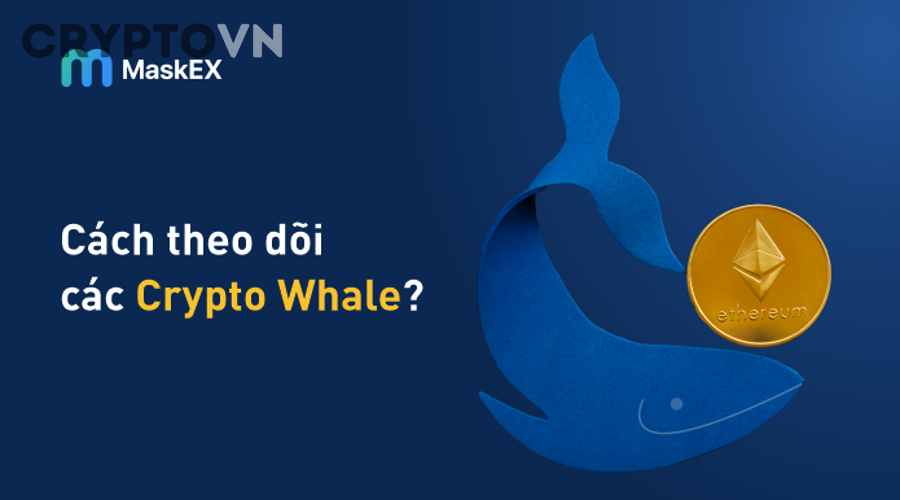 Khám Phá 7 Công Cụ Theo Dõi Whale Crypto Hiệu Quả Cho Người Mới