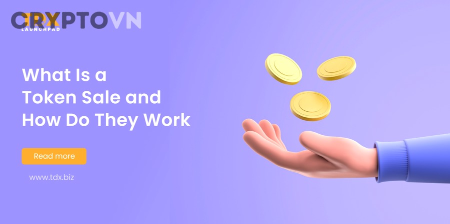 Phân tích rủi ro trong token sale terms và cảnh báo pháp lý crypto