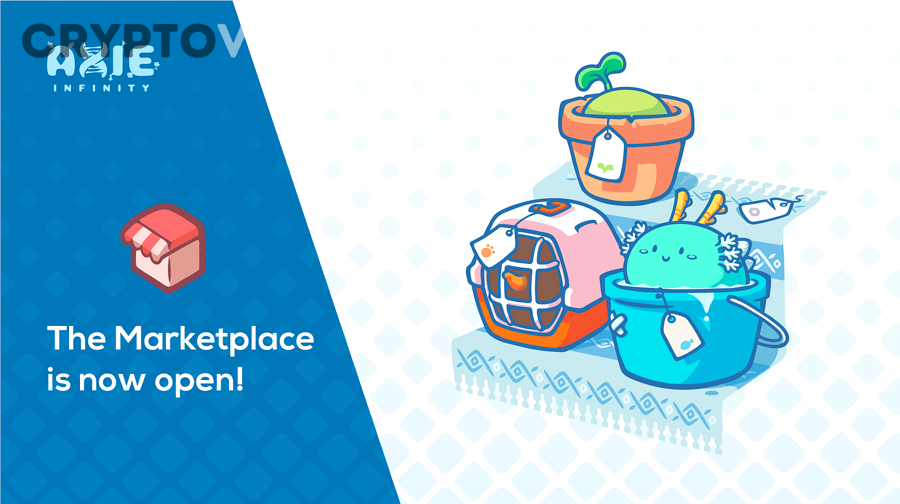 Người dùng phân tích dữ liệu và đánh giá NFT Axie trước khi mua trên marketplace