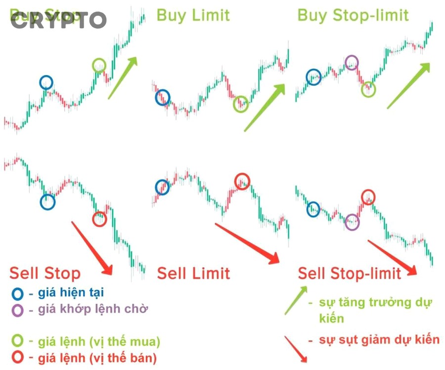 Nhà giao dịch phân tích khi nào nên dùng lệnh limit trong crypto