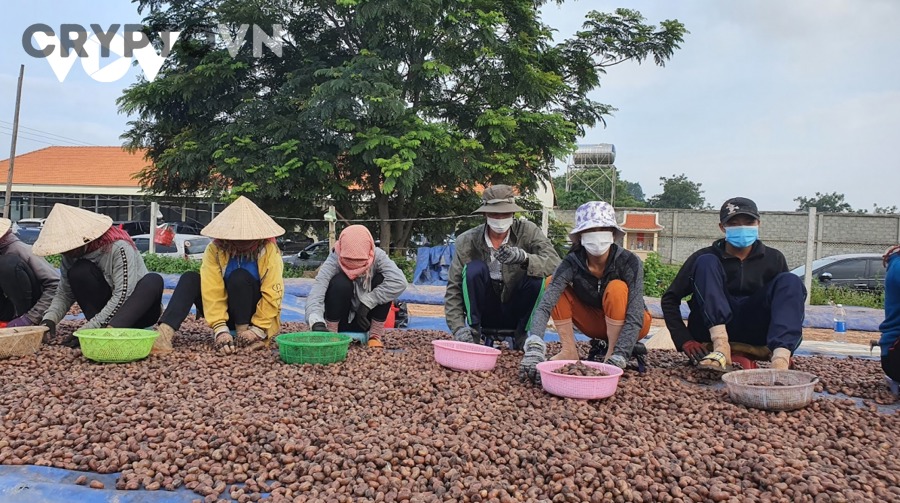 Những yếu tố nào có thể khiến vesting IEO không làm giá giảm như nhiều người nghĩ?