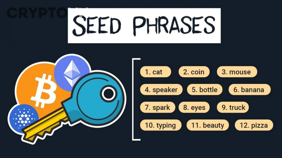 Rủi ro phishing và website giả khi nhập seed phrase