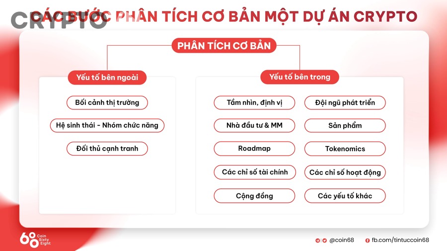 Biểu đồ tokenomics, market cap và FDV trong phân tích cơ bản crypto