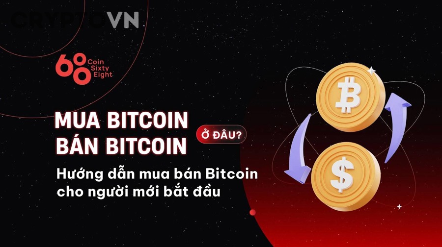 Nên Mua Crypto Ở Đâu Cho Người Mới? Hướng Dẫn Chọn Sàn Uy Tín Và Dễ Dùng
