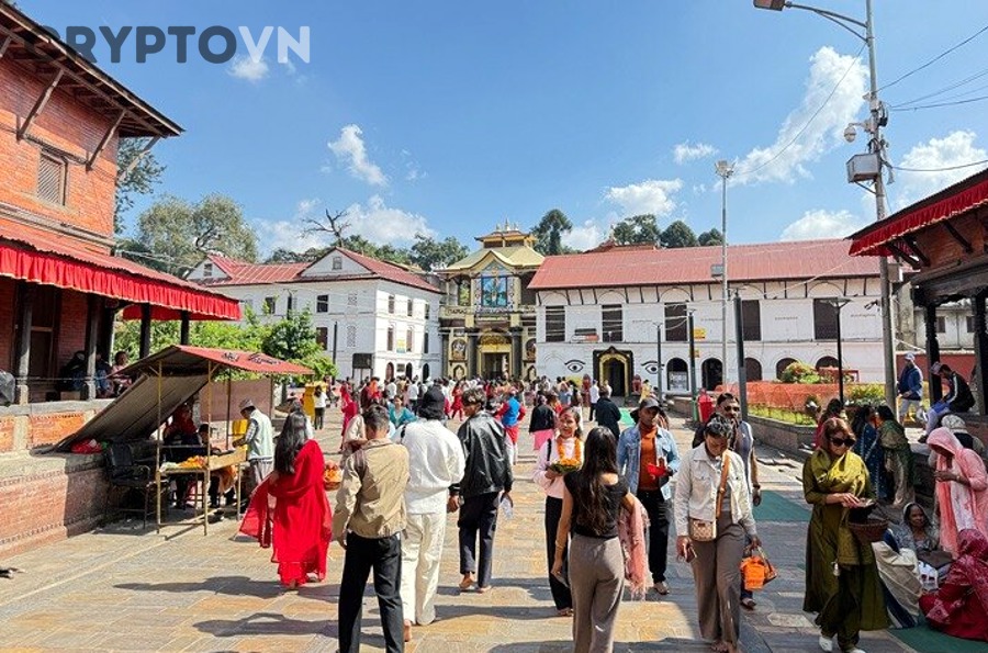 Những sai lầm nào khiến người mới chọn lịch DCA không hiệu quả?