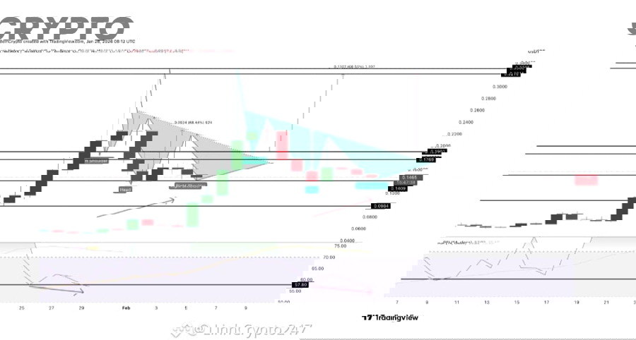 Phân Biệt Whale Accumulation vs Distribution Trong Crypto: Cách Đọc Tín Hiệu Tích Lũy Và Phân Phối Cho Nhà Đầu Tư