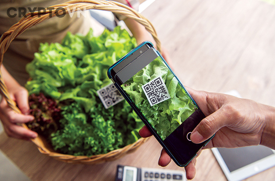 Blockchain So Với Các Giải Pháp Truy Xuất Nguồn Gốc Dược Phẩm Truyền Thống: Đâu Là Lựa Chọn Tối Ưu?