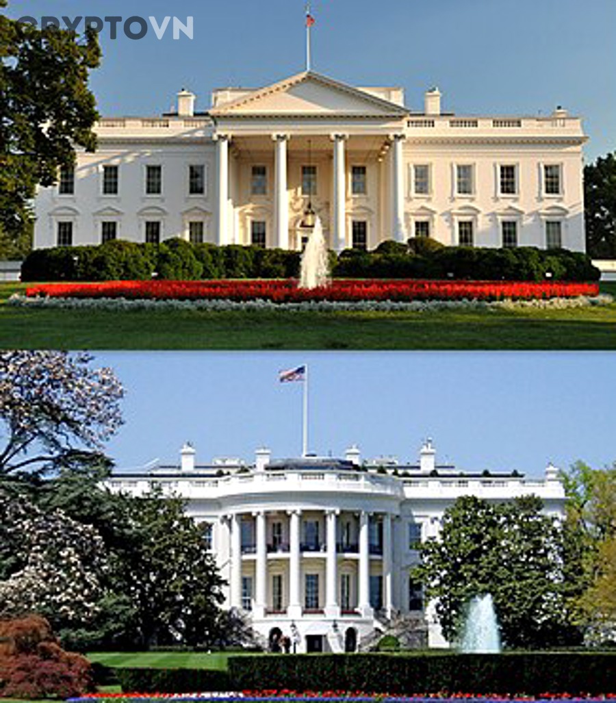 Coin phòng thủ có phải là lựa chọn tốt nhất trong mọi giai đoạn thị trường không?