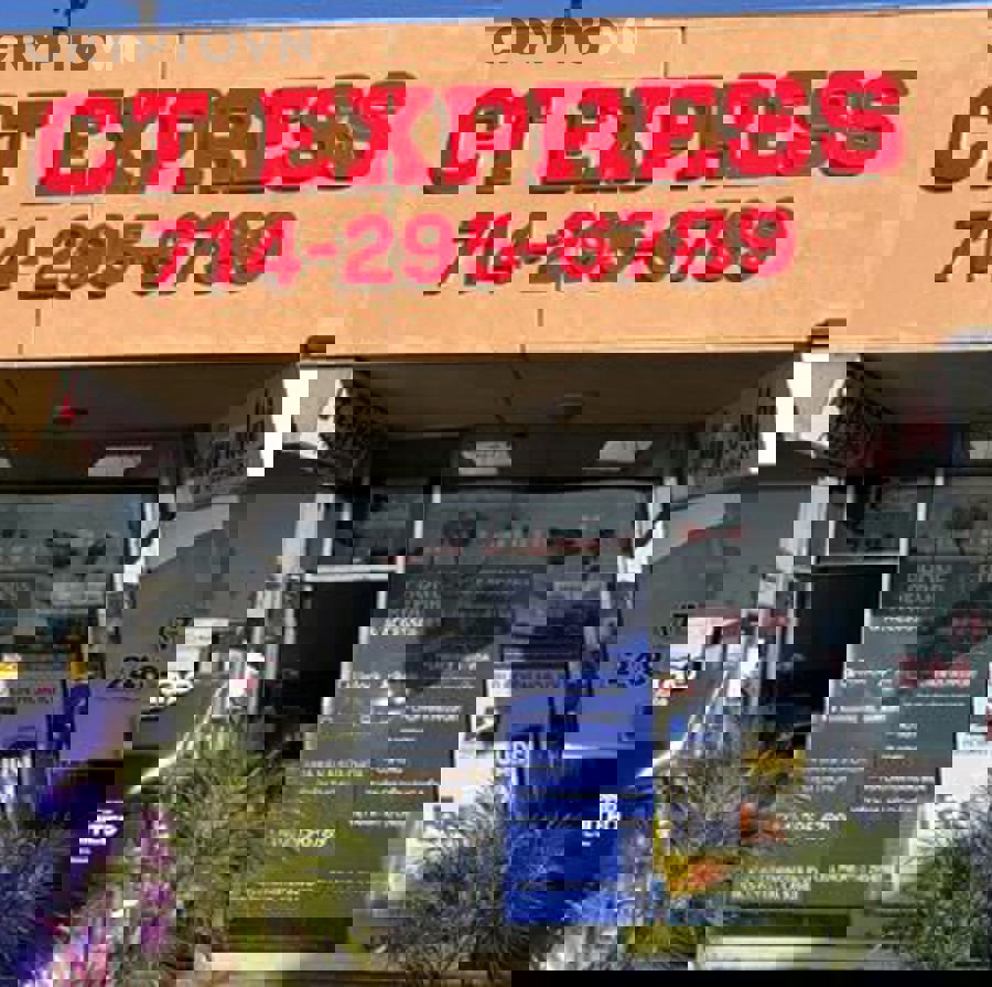 Tránh 7 Sai Lầm Khi Đu Theo Whale Trong Crypto Cho Người Mới