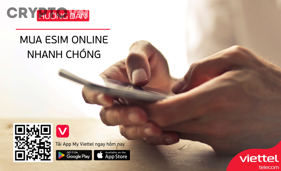 Phí giao dịch và chọn mạng khi mua crypto cho người mới