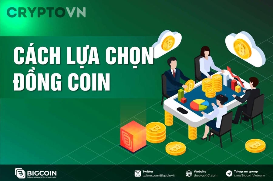 Altcoin là gì - phân loại coin token stablecoin trong thị trường crypto