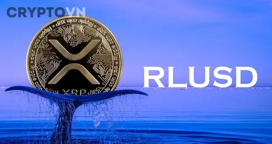 Phân tích cơ bản crypto với dữ liệu dự án, tokenomics và chỉ số on-chain