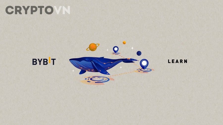 Phân tích dữ liệu on-chain blockchain để theo dõi whale crypto