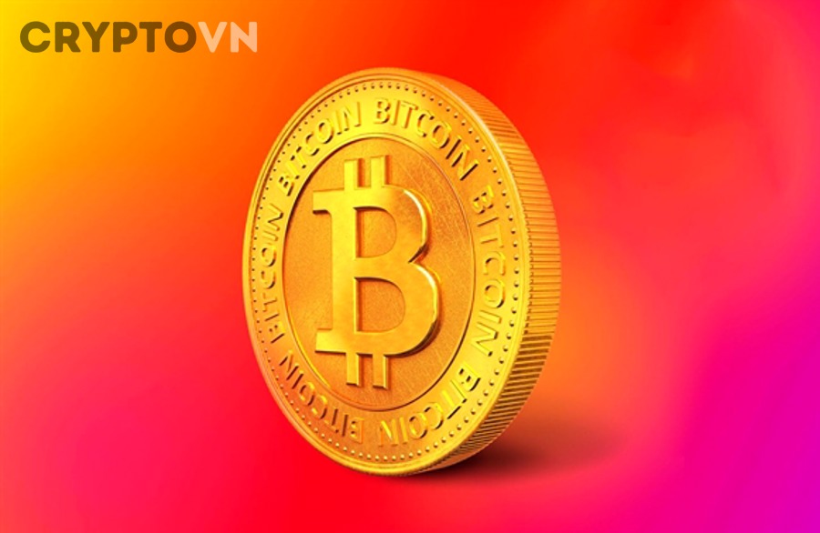 Kết Luận Nào Phù Hợp Nhất Với Người Tìm “Cloud Mining Có Lừa Đảo Không”?