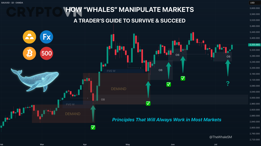 Ứng Dụng Whale Data Để Trade Crypto Hiệu Quả: Chiến Lược Đọc Dòng Tiền Cá Voi Cho Trader