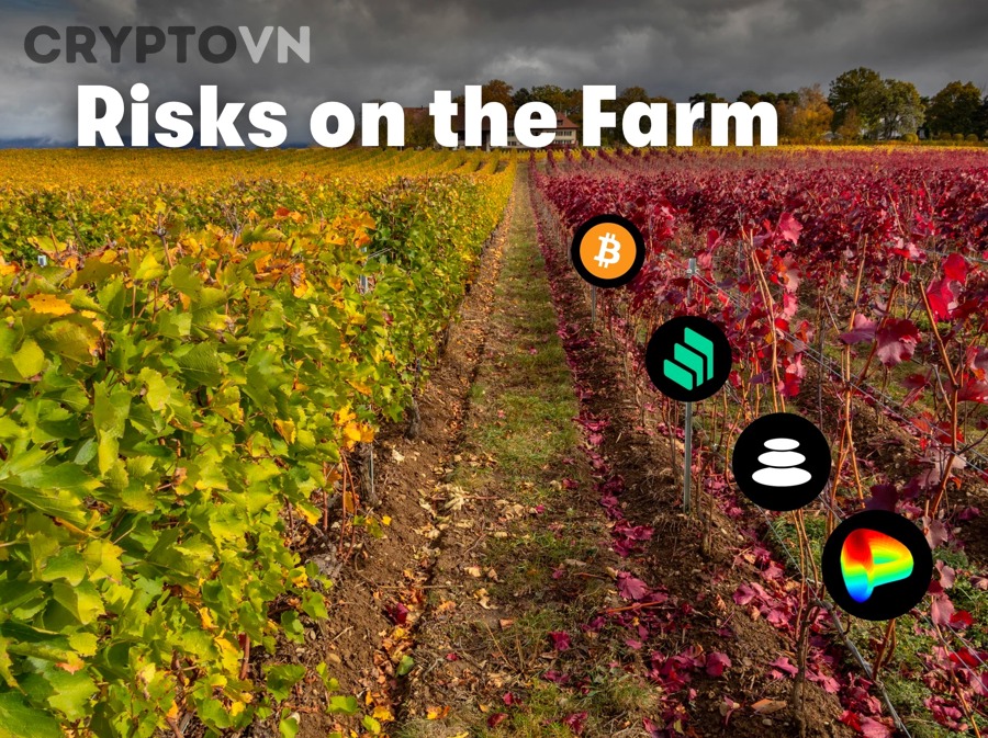 Biểu đồ và dữ liệu tài chính thể hiện rủi ro thị trường trong yield farming