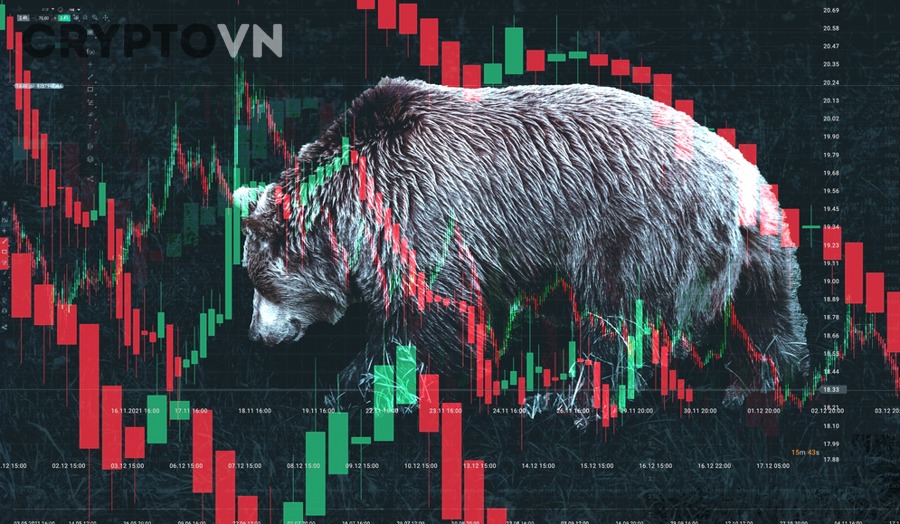 Những yếu tố nào quyết định bear market crypto kéo dài ngắn hay dài?