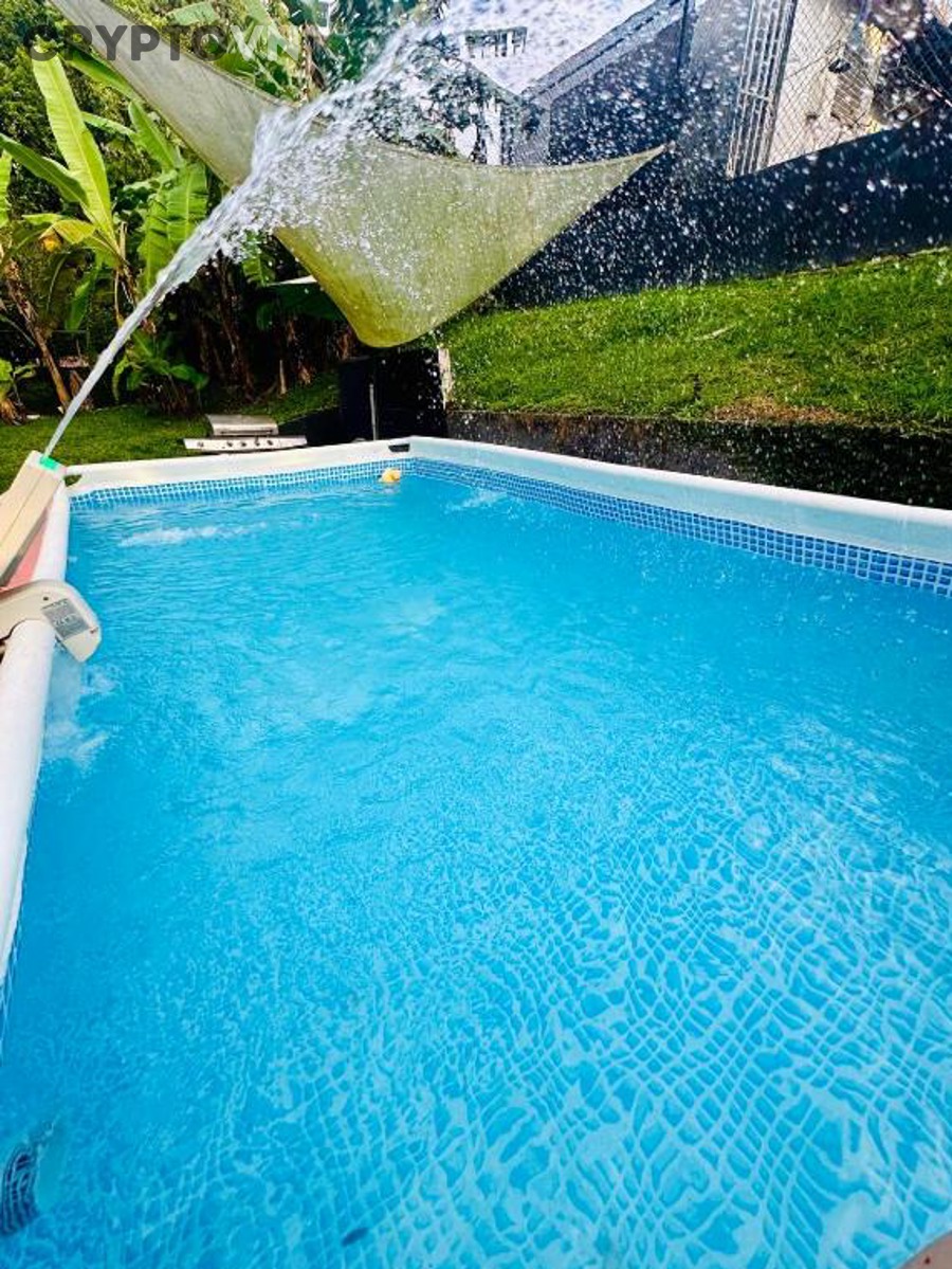 Bảng điều khiển mining pool hiển thị hashrate và payout