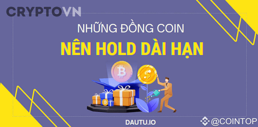 Nên ưu tiên những nhóm coin nào khi chọn coin để hold dài hạn?