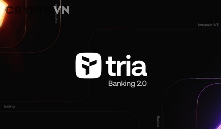 Doanh Nghiệp Có Thực Sự Cần Private Blockchain Không?