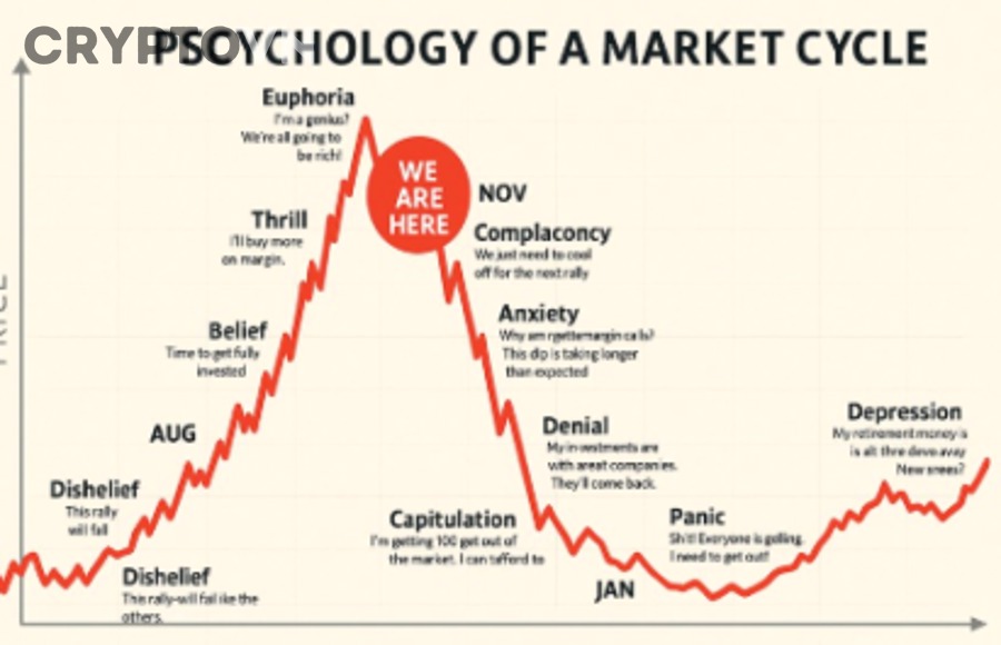 Altcoin Season Index và các tín hiệu xác nhận mùa alt