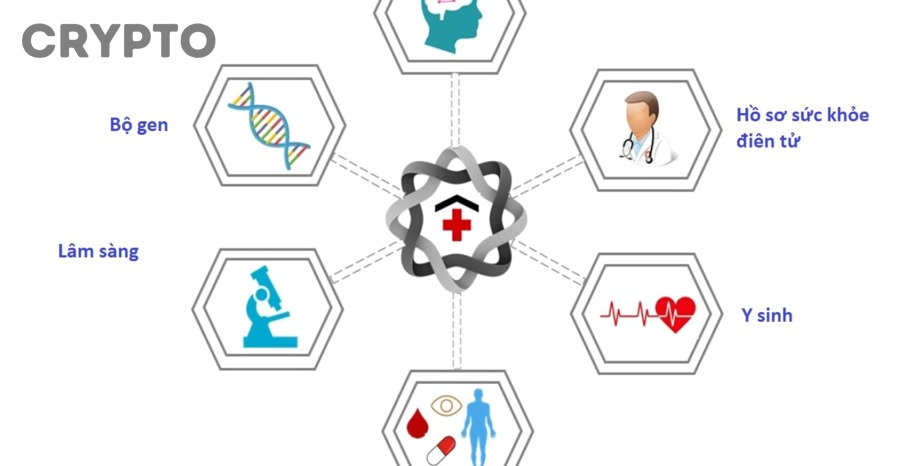 Blockchain Nâng Cấp Hồ Sơ Bệnh Nhân Điện Tử (EHR) Như Thế Nào?