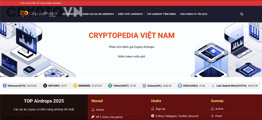 Trong token plan, đâu là các thành phần cần đọc để đoán khả năng có airdrop?