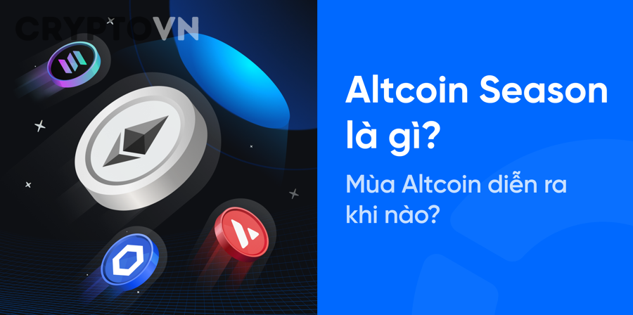 Rủi Ro Khi Mua Top Altcoin So Với Bitcoin Và Stablecoin Khác Nhau Như Thế Nào?