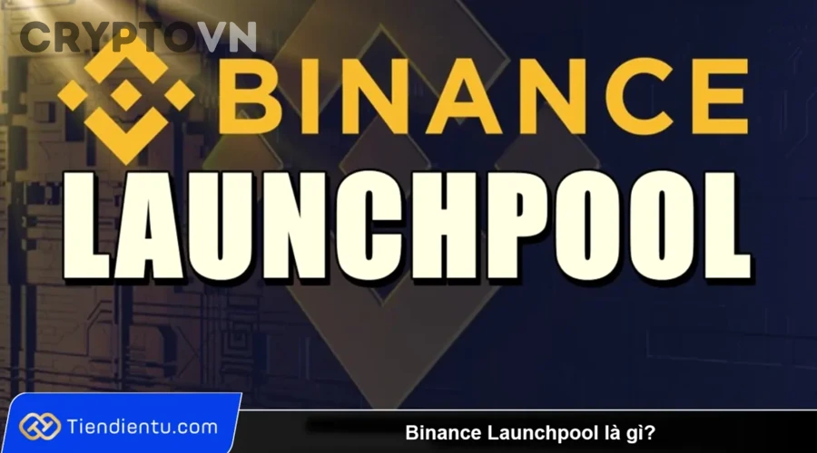 Server và hạ tầng mạng liên quan đến mining pool