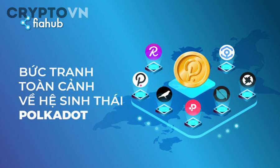 Những lưu ý khi tìm hiểu và tham gia hệ sinh thái Polkadot