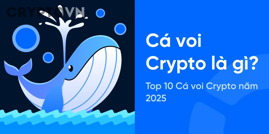 Dữ liệu dòng tiền crypto và ví cá voi trên biểu đồ