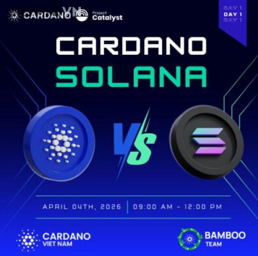 Kết Luận Nào Là Hợp Lý Nhất Về Việc Đầu Tư Dài Hạn Cardano?