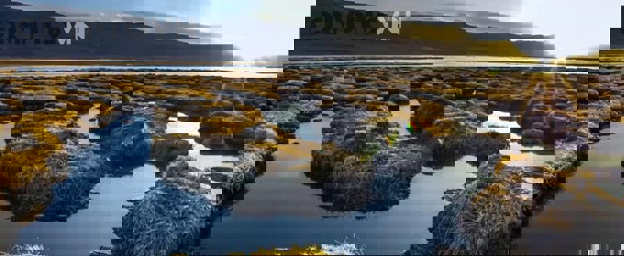 OpenZeppelin Contracts badge