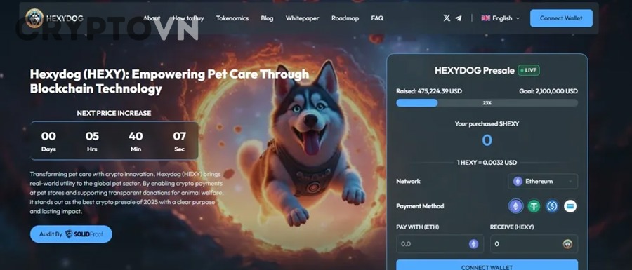 Minh họa các blockchain Layer 1 và hệ sinh thái crypto