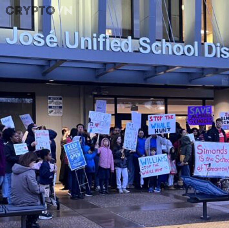 Phân Tích 7 Sự Kiện Whale Làm Biến Động Mạnh Thị Trường Crypto Cho Nhà Đầu Tư