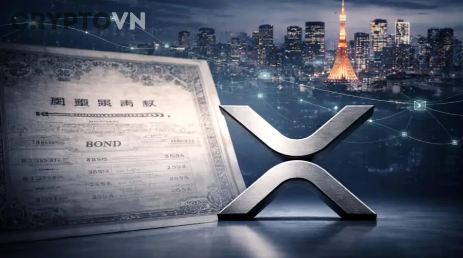 Xác định khách hàng mục tiêu và phân khúc người dùng cho dự án crypto