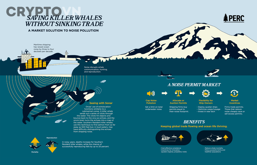 Whale mua có luôn khiến giá tăng ngay trong crypto không?